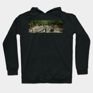 Crystal Creek Falls - Paluma Range - North Queensland Hoodie